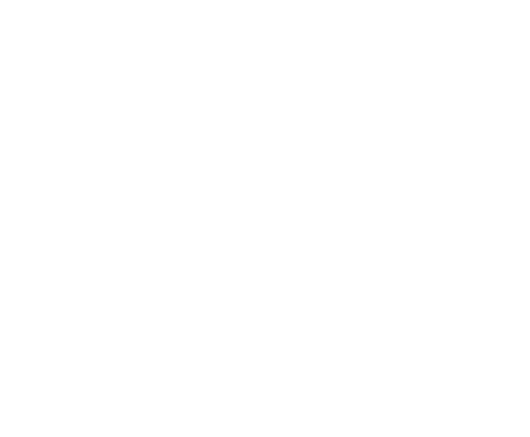 Pide Inn